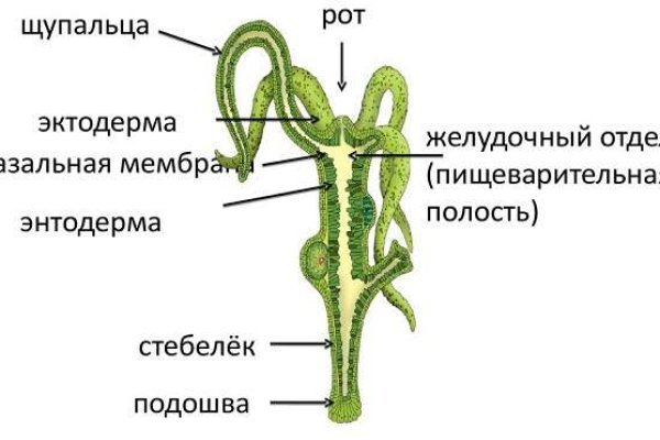 Кракен современный даркнет маркет плейс